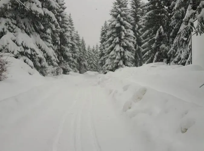 Gorska بيت للعطل *