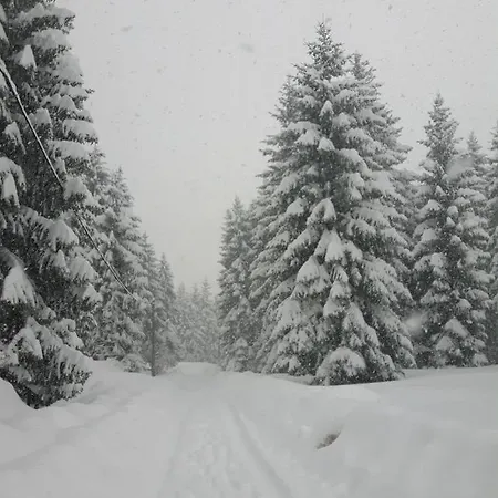 Gorska Holiday home