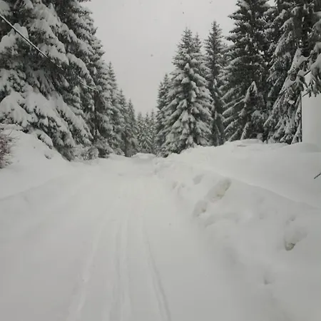 Gorska Holiday home *